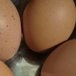 Eggs